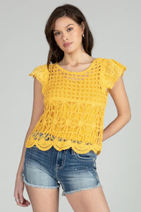 Cropped Crochet Knit Top