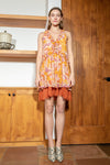 Ruffle Ditzy Floral Lace Dress